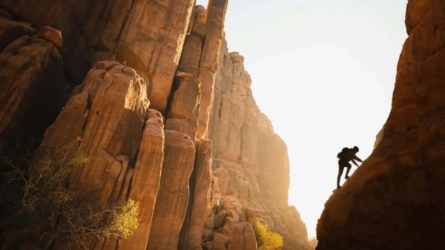 IATI Grandes Viajeros